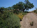 Sunol 012  Along Vista Grande Road